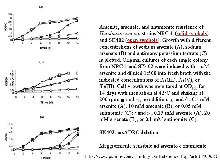 Arsenite, arsenate, and antimonite resistance of Halobacterium sp. strains NRC-1 (solid symbols) and SK