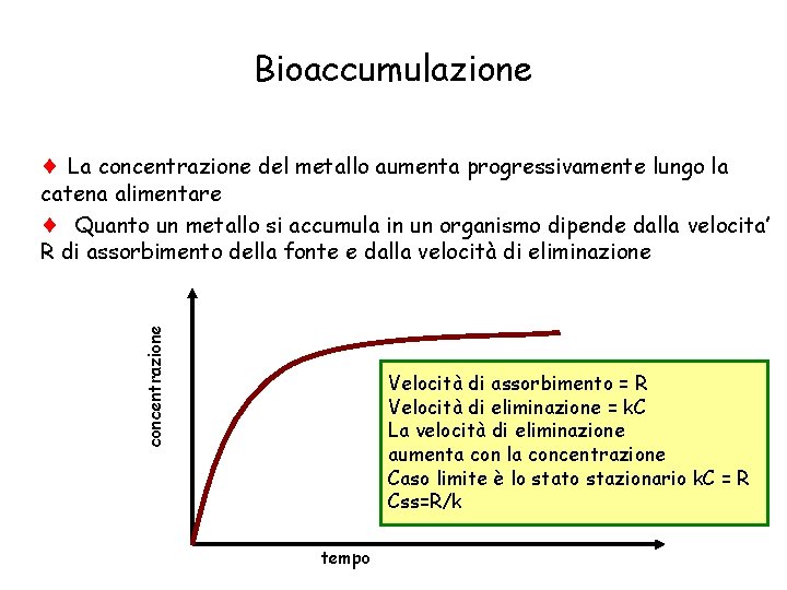 Bioaccumulazione La concentrazione del metallo aumenta progressivamente lungo la concentrazione catena alimentare Quanto un