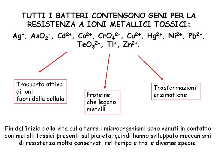 TUTTI I BATTERI CONTENGONO GENI PER LA RESISTENZA A IONI METALLICI TOSSICI: Ag+, As.