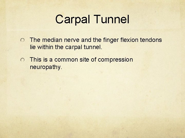 Carpal Tunnel The median nerve and the finger flexion tendons lie within the carpal