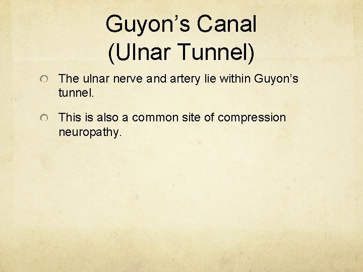 Guyon’s Canal (Ulnar Tunnel) The ulnar nerve and artery lie within Guyon’s tunnel. This