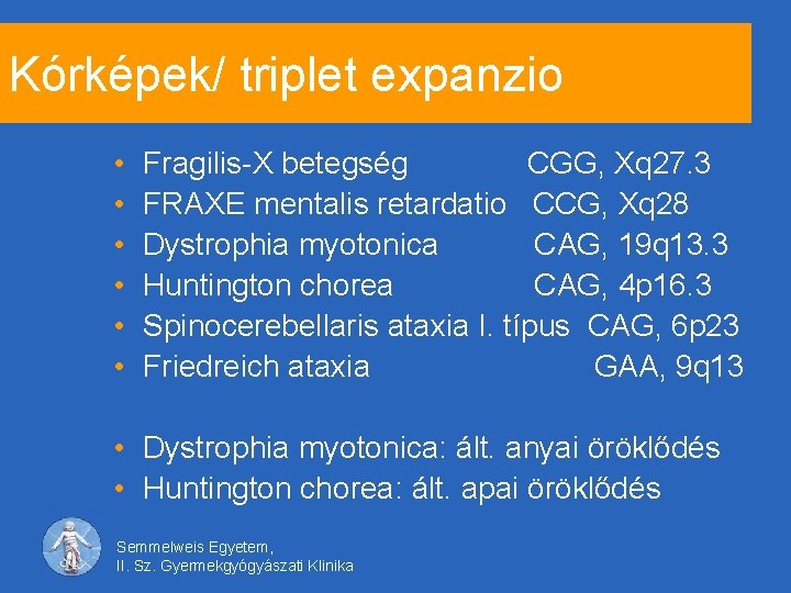 Kórképek/ triplet expanzio • • • Fragilis-X betegség CGG, Xq 27. 3 FRAXE mentalis