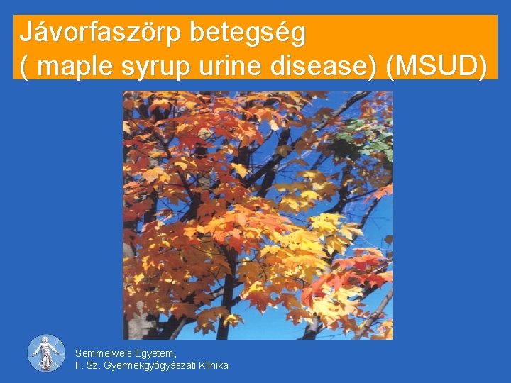 Jávorfaszörp betegség ( maple syrup urine disease) (MSUD) Semmelweis Egyetem, II. Sz. Gyermekgyógyászati Klinika