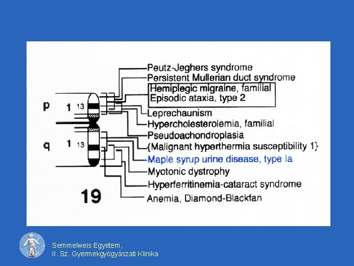 Semmelweis Egyetem, II. Sz. Gyermekgyógyászati Klinika 