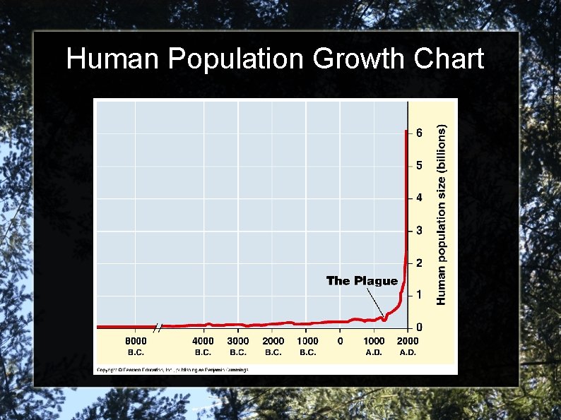 Human Population Growth Chart 