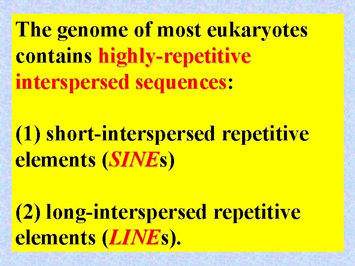 The genome of most eukaryotes contains highly-repetitive interspersed sequences: sequences (1) short-interspersed repetitive elements
