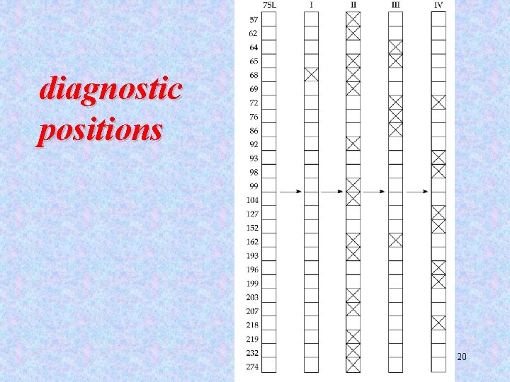 diagnostic positions 20 