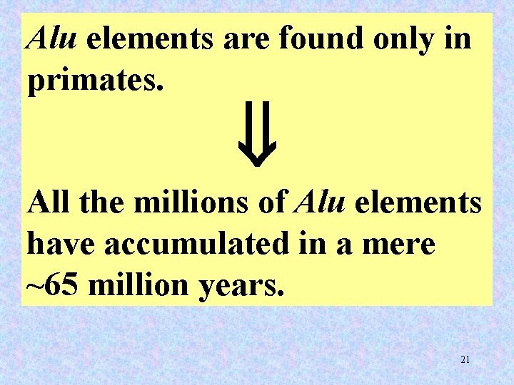 Alu elements are found only in primates. All the millions of Alu elements have