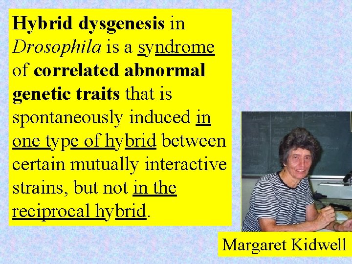 Hybrid dysgenesis in Drosophila is a syndrome of correlated abnormal genetic traits that is