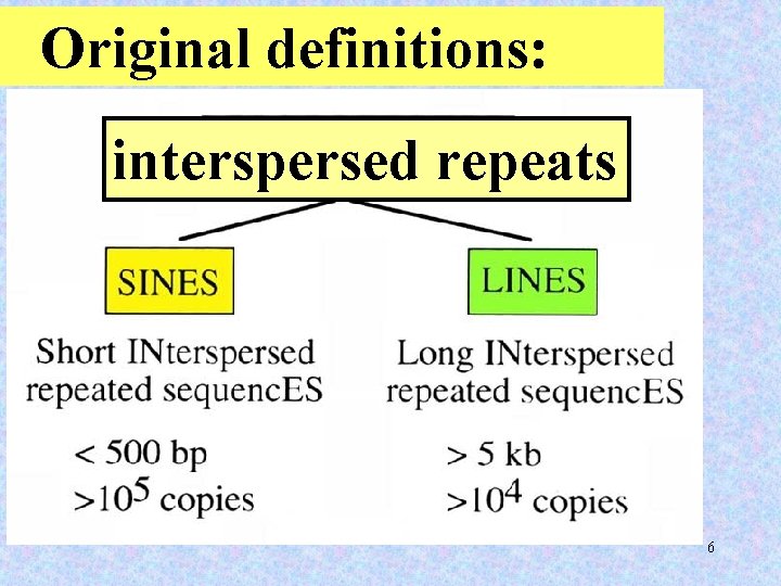 Original definitions: interspersed repeats 6 