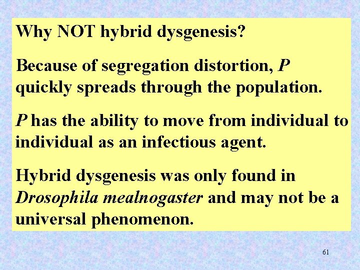 Why NOT hybrid dysgenesis? Because of segregation distortion, P quickly spreads through the population.