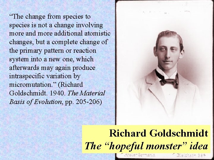 “The change from species to species is not a change involving more and more