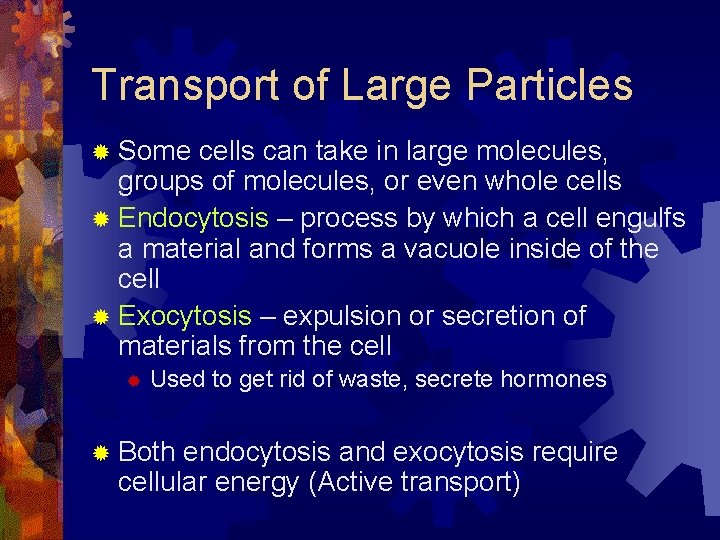 Transport of Large Particles ® Some cells can take in large molecules, groups of