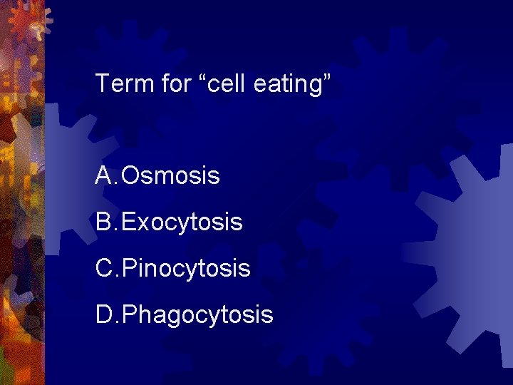 Term for “cell eating” A. Osmosis B. Exocytosis C. Pinocytosis D. Phagocytosis 
