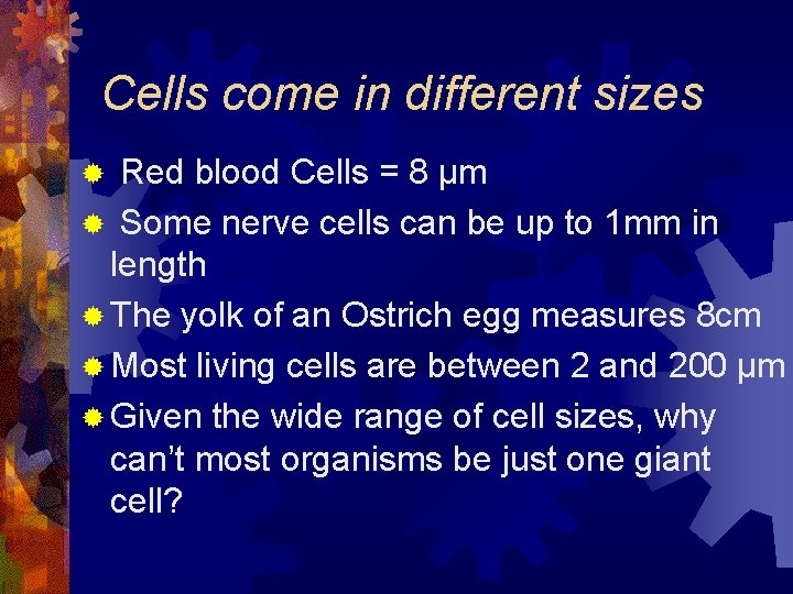Cells come in different sizes Red blood Cells = 8 µm ® Some nerve