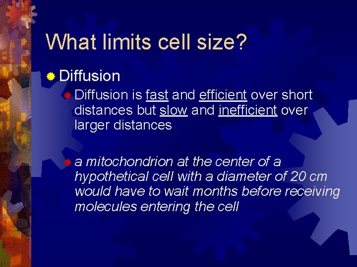 What limits cell size? ® Diffusion is fast and efficient over short distances but