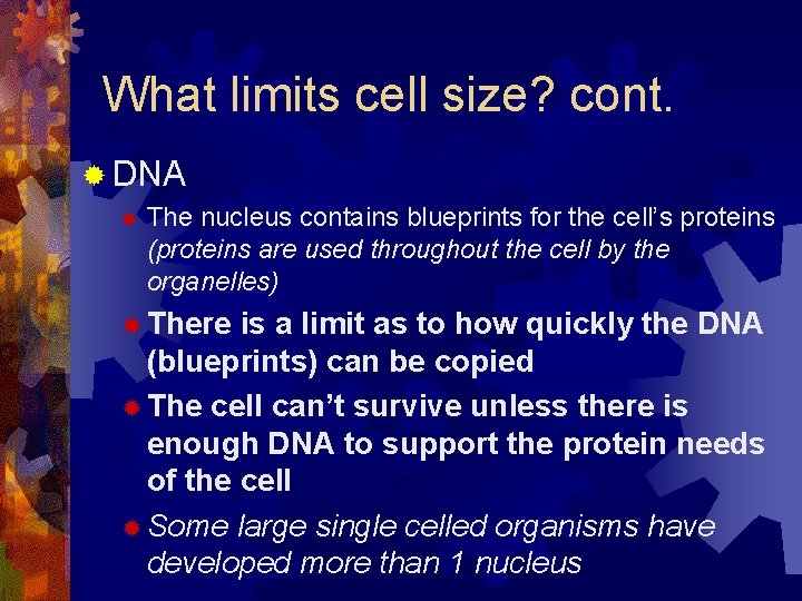 What limits cell size? cont. ® DNA ® The nucleus contains blueprints for the