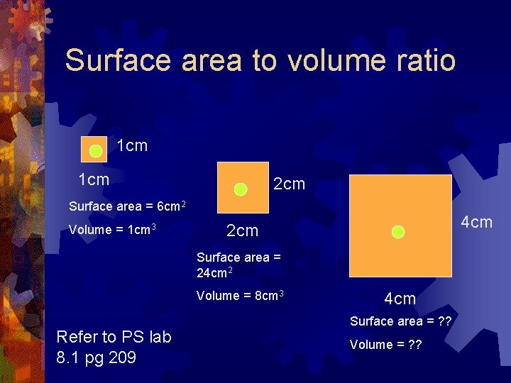Surface area to volume ratio 1 cm 2 cm Surface area = 6 cm