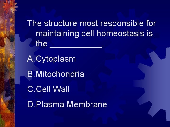 The structure most responsible for maintaining cell homeostasis is the ______. A. Cytoplasm B.
