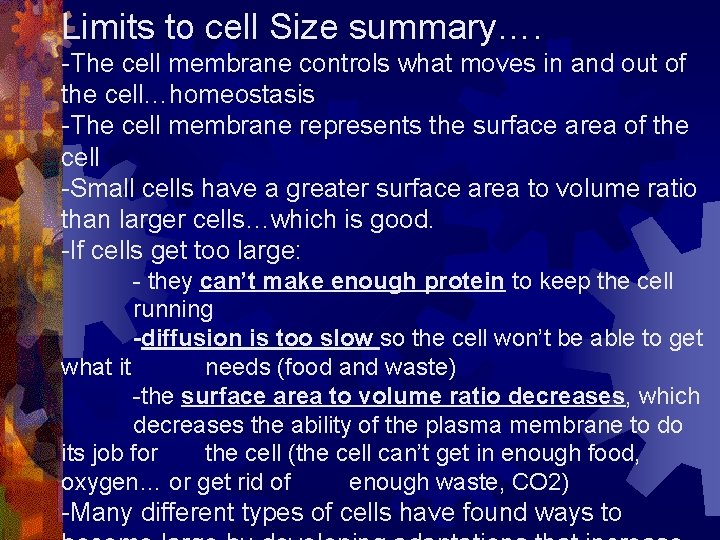 Limits to cell Size summary…. -The cell membrane controls what moves in and out