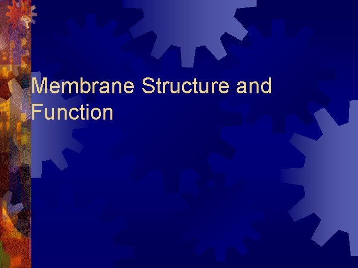 Membrane Structure and Function 