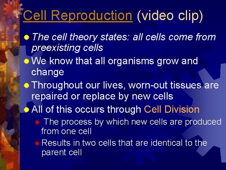 Cell Reproduction (video clip) ® The cell theory states: all cells come from preexisting