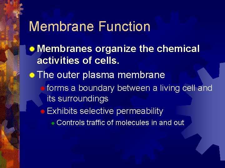 Membrane Function ® Membranes organize the chemical activities of cells. ® The outer plasma