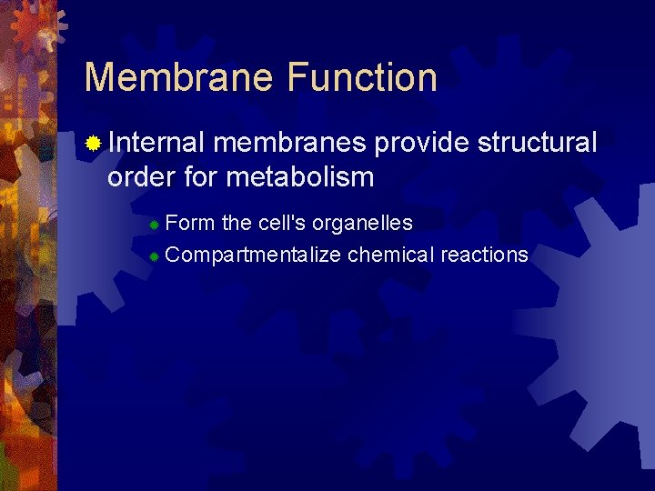 Membrane Function ® Internal membranes provide structural order for metabolism Form the cell's organelles