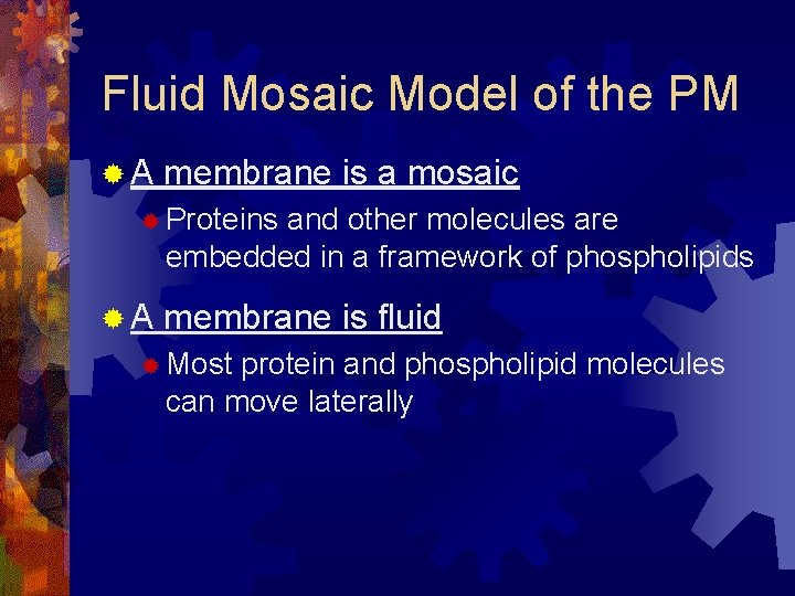 Fluid Mosaic Model of the PM ®A membrane is a mosaic ® Proteins and