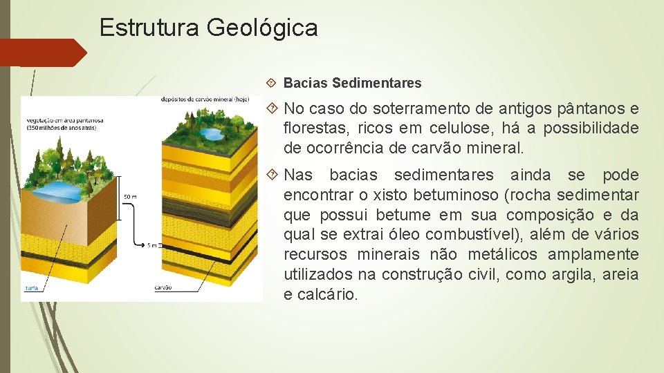 Estrutura Geológica Bacias Sedimentares No caso do soterramento de antigos pântanos e florestas, ricos