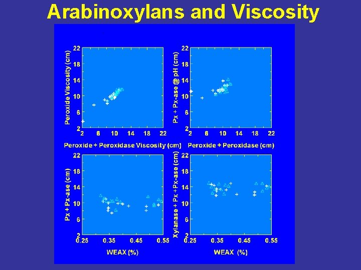 Arabinoxylans and Viscosity 