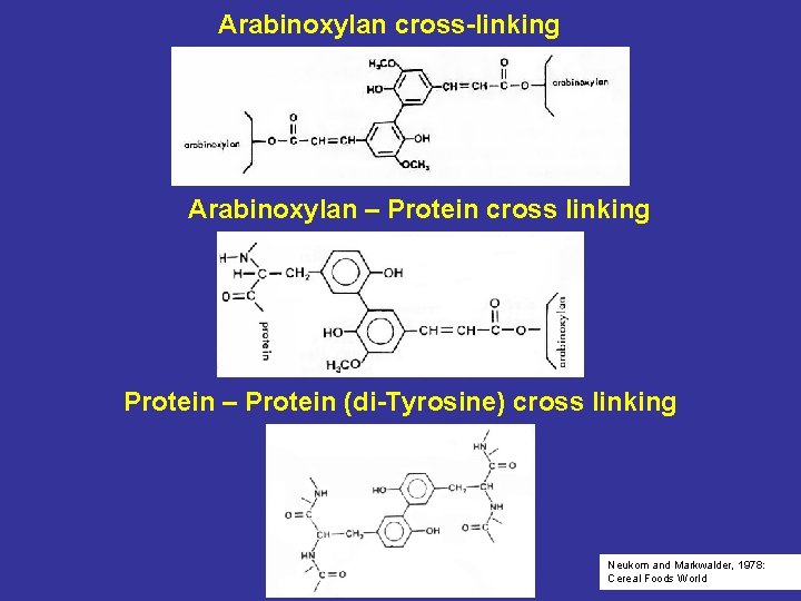 Arabinoxylan cross-linking Arabinoxylan – Protein cross linking Protein – Protein (di-Tyrosine) cross linking Neukom