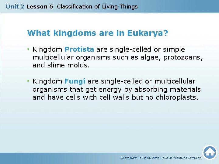 Unit 2 Lesson 6 Classification of Living Things What kingdoms are in Eukarya? •