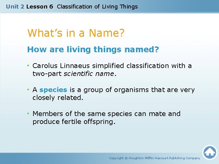 Unit 2 Lesson 6 Classification of Living Things What’s in a Name? How are