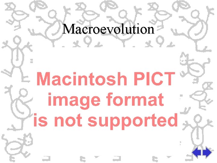 Macroevolution Macroevolution