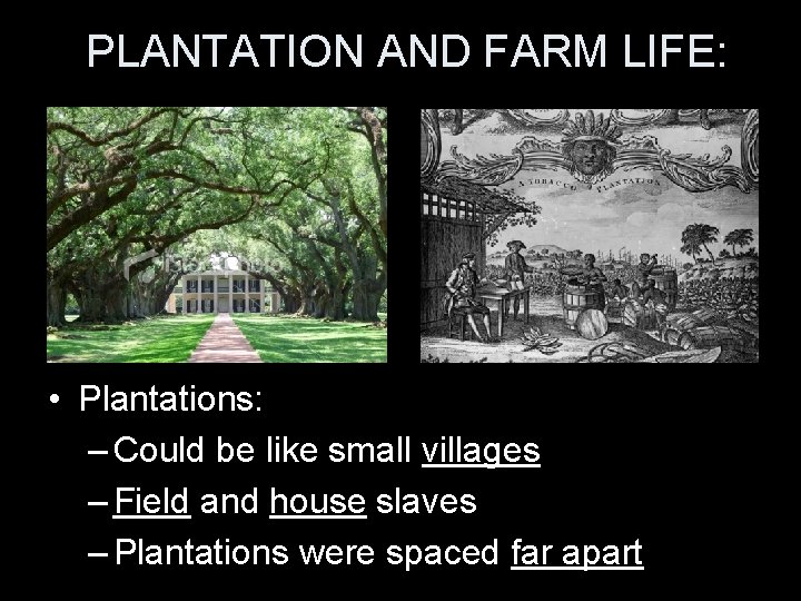PLANTATION AND FARM LIFE: • Plantations: – Could be like small villages – Field