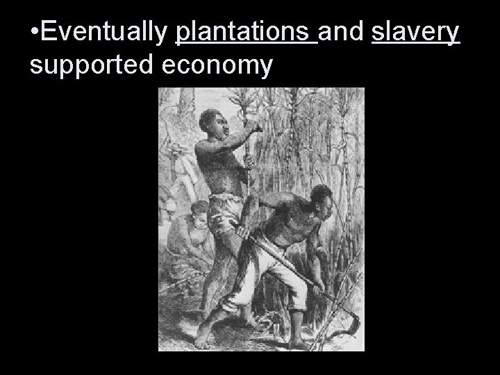  • Eventually plantations and slavery supported economy 