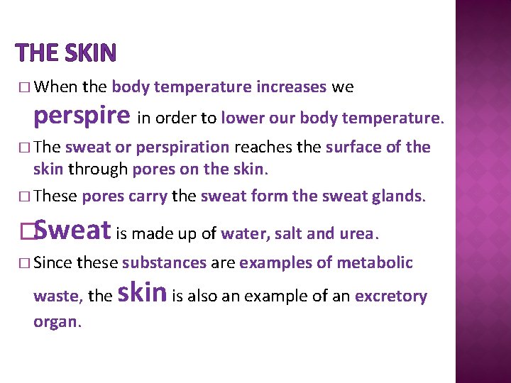 THE SKIN � When the body temperature increases we perspire in order to lower
