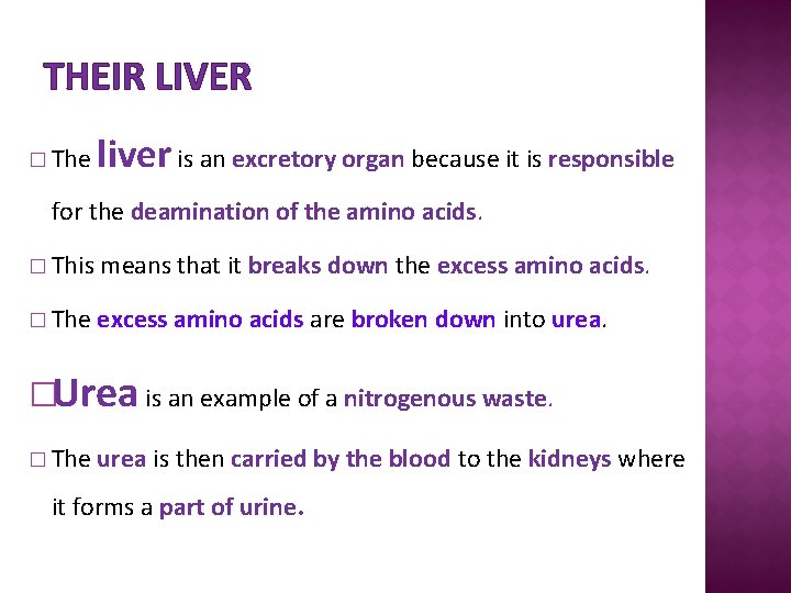 THEIR LIVER � The liver is an excretory organ because it is responsible for