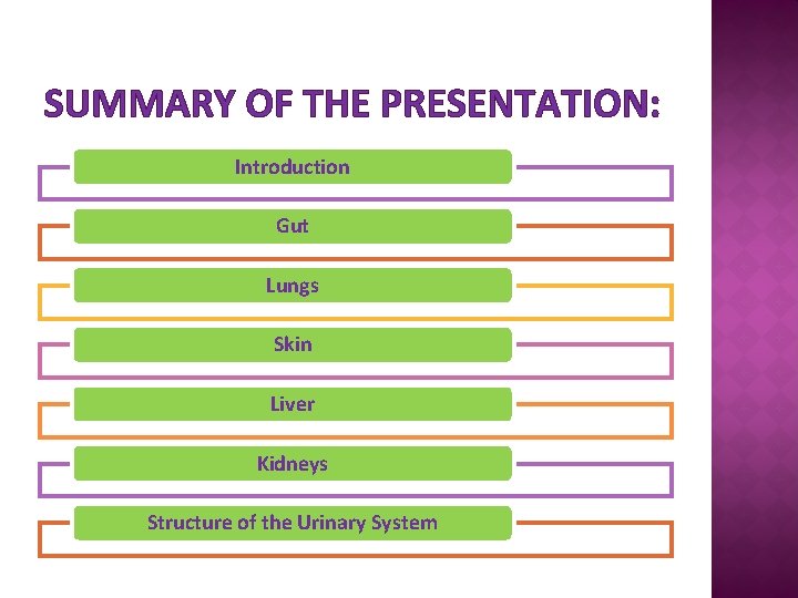 SUMMARY OF THE PRESENTATION: Introduction Gut Lungs Skin Liver Kidneys Structure of the Urinary