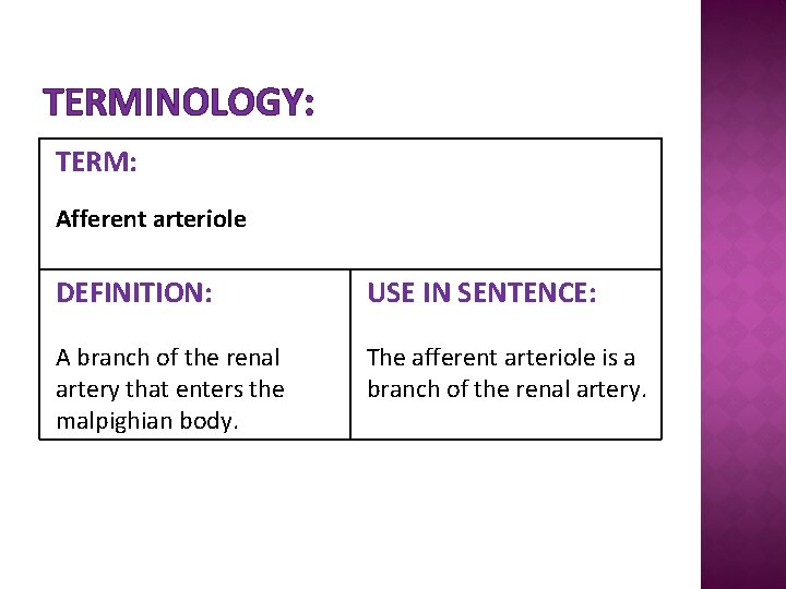 TERMINOLOGY: TERM: Afferent arteriole DEFINITION: USE IN SENTENCE: A branch of the renal artery