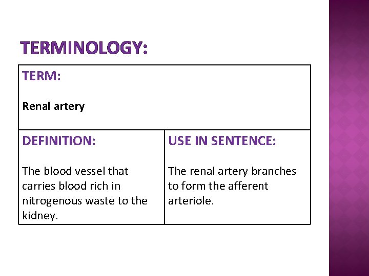 TERMINOLOGY: TERM: Renal artery DEFINITION: USE IN SENTENCE: The blood vessel that carries blood