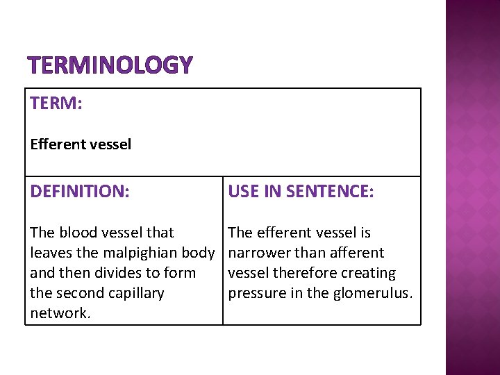 TERMINOLOGY TERM: Efferent vessel DEFINITION: USE IN SENTENCE: The blood vessel that leaves the