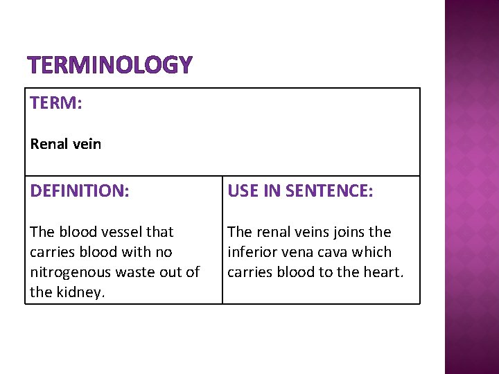 TERMINOLOGY TERM: Renal vein DEFINITION: USE IN SENTENCE: The blood vessel that carries blood