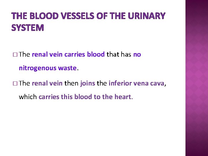 THE BLOOD VESSELS OF THE URINARY SYSTEM � The renal vein carries blood that