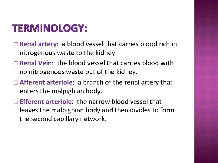 TERMINOLOGY: � Renal artery: a blood vessel that carries blood rich in nitrogenous waste