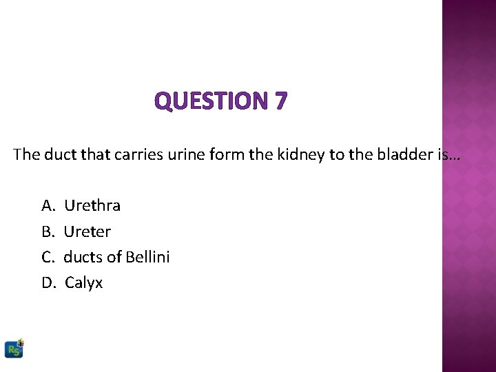 QUESTION 7 The duct that carries urine form the kidney to the bladder is…