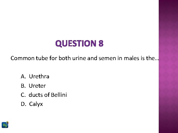QUESTION 8 Common tube for both urine and semen in males is the… A.