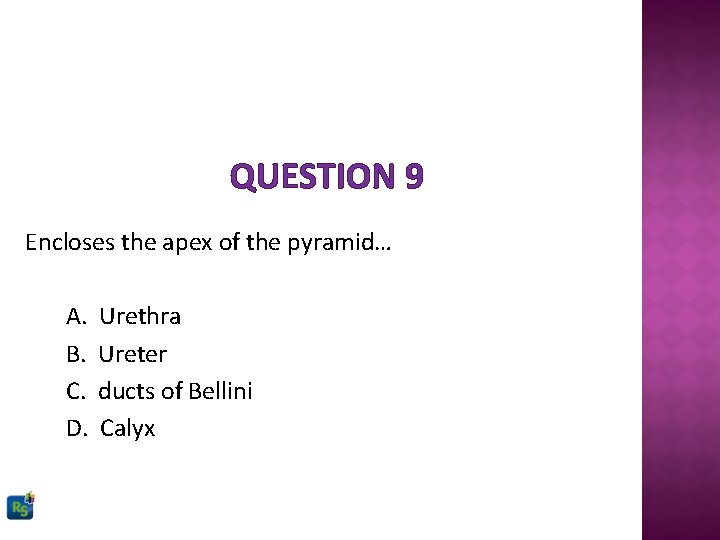 QUESTION 9 Encloses the apex of the pyramid… A. B. C. D. Urethra Ureter