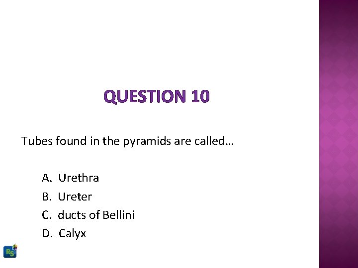 QUESTION 10 Tubes found in the pyramids are called… A. B. C. D. Urethra